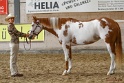 22-APHA HTB_013
